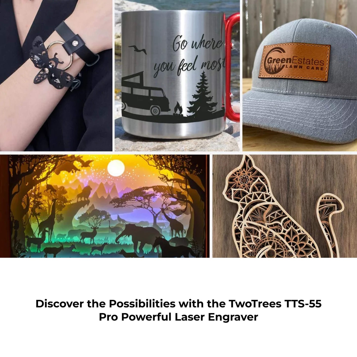 TwoTrees TTS-55 Pro Powerful Laser Engraver